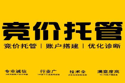 探索百度竞价排名的奥秘：成功案例分享